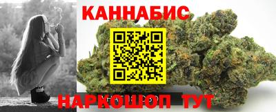 мдпв Бийск