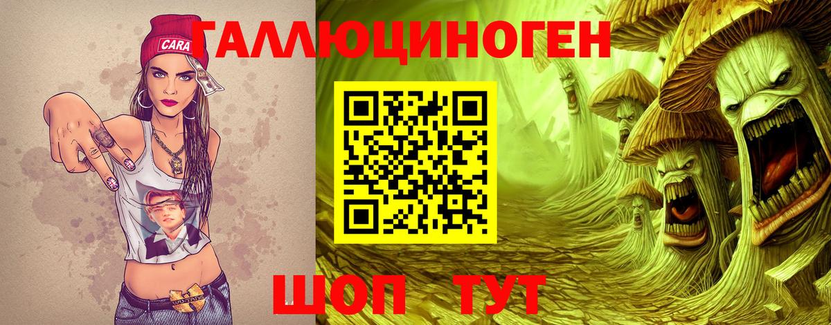Галлюциногенные грибы Psilocybine cubensis  Вход с VPN  Верхний Уфалей 